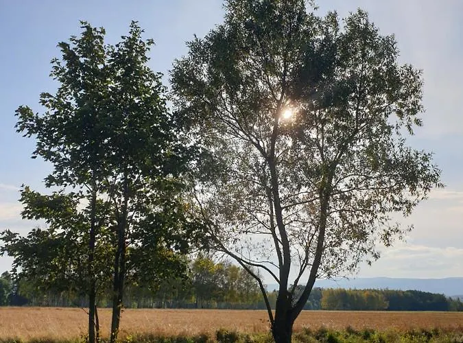 Ow Sorrento * Bystrzyca Kłodzka